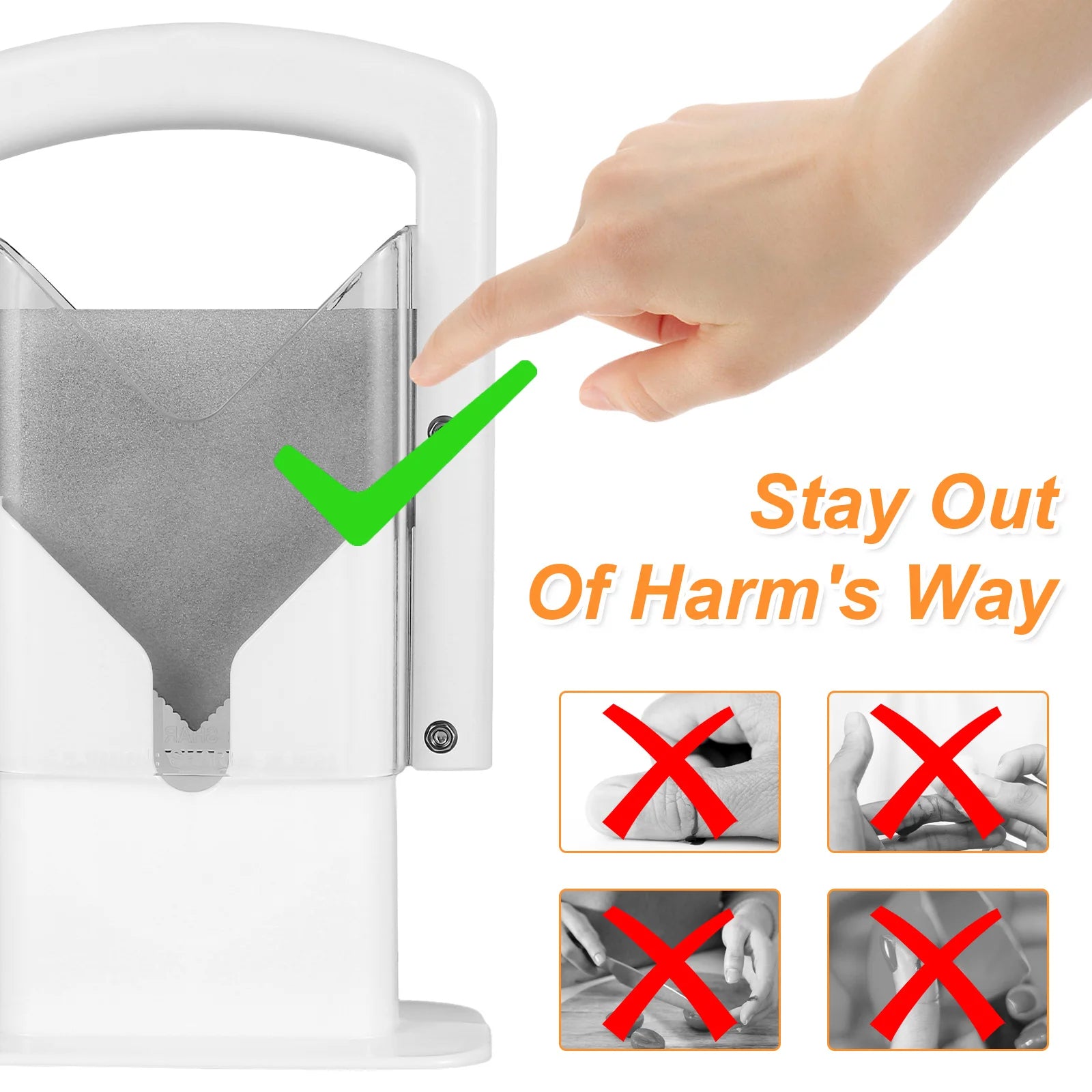 نص بديل للصورة