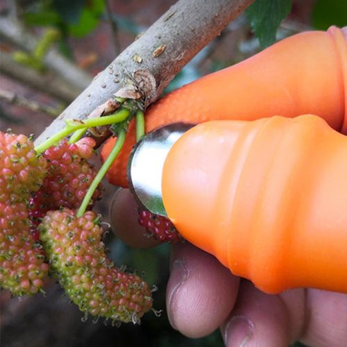 سكين الإبهام